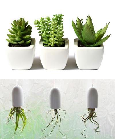 室內(nèi)擺放植物，起到綠色節(jié)能降耗